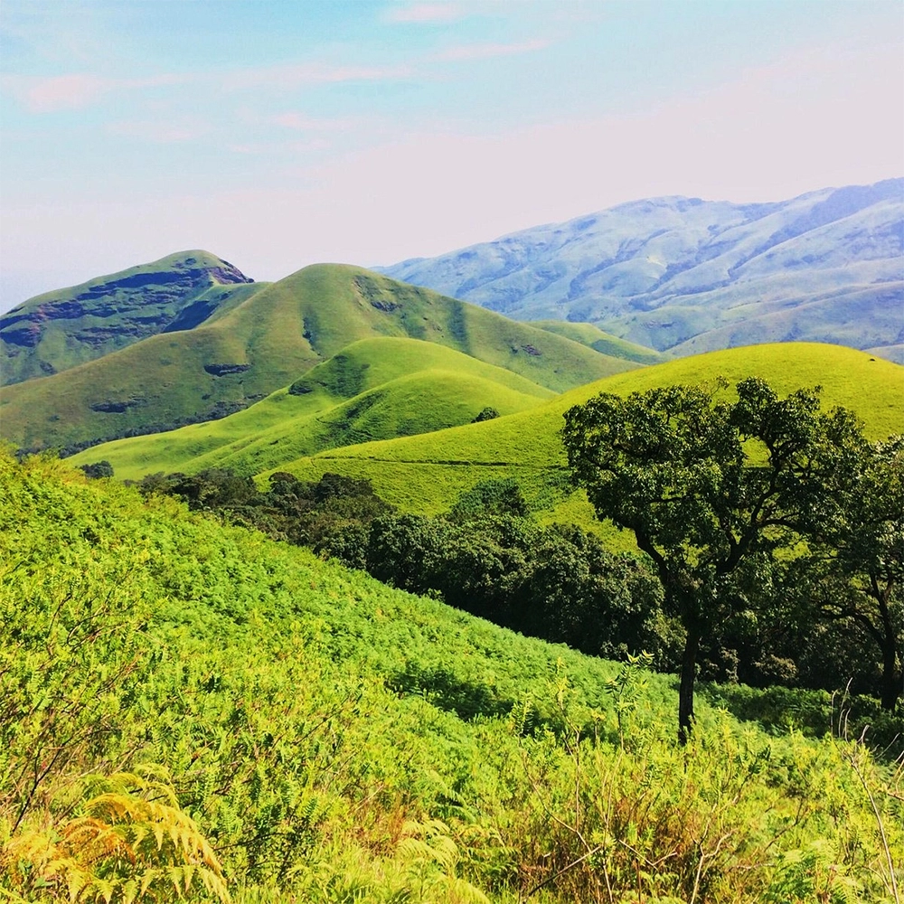 Photo of Udupi Chikmagalur